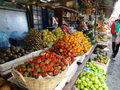 Unique fruits, some of the best food in Vietnam