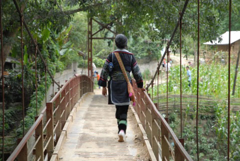 Sapa trekking