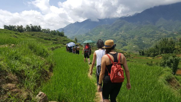 Sapa trekking