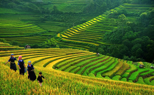 Trekking tours of Sapa